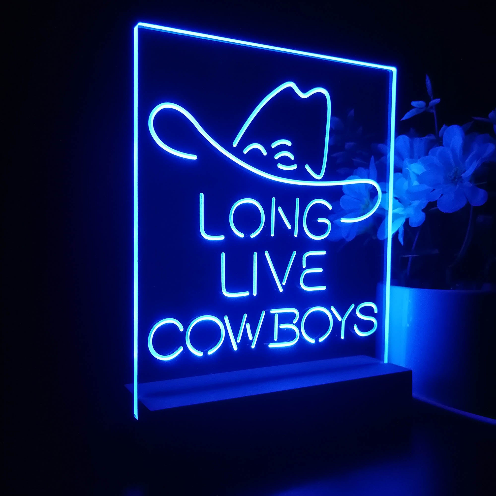 Long Live Cowboys Wranglers 3D LED Illusion Night Light