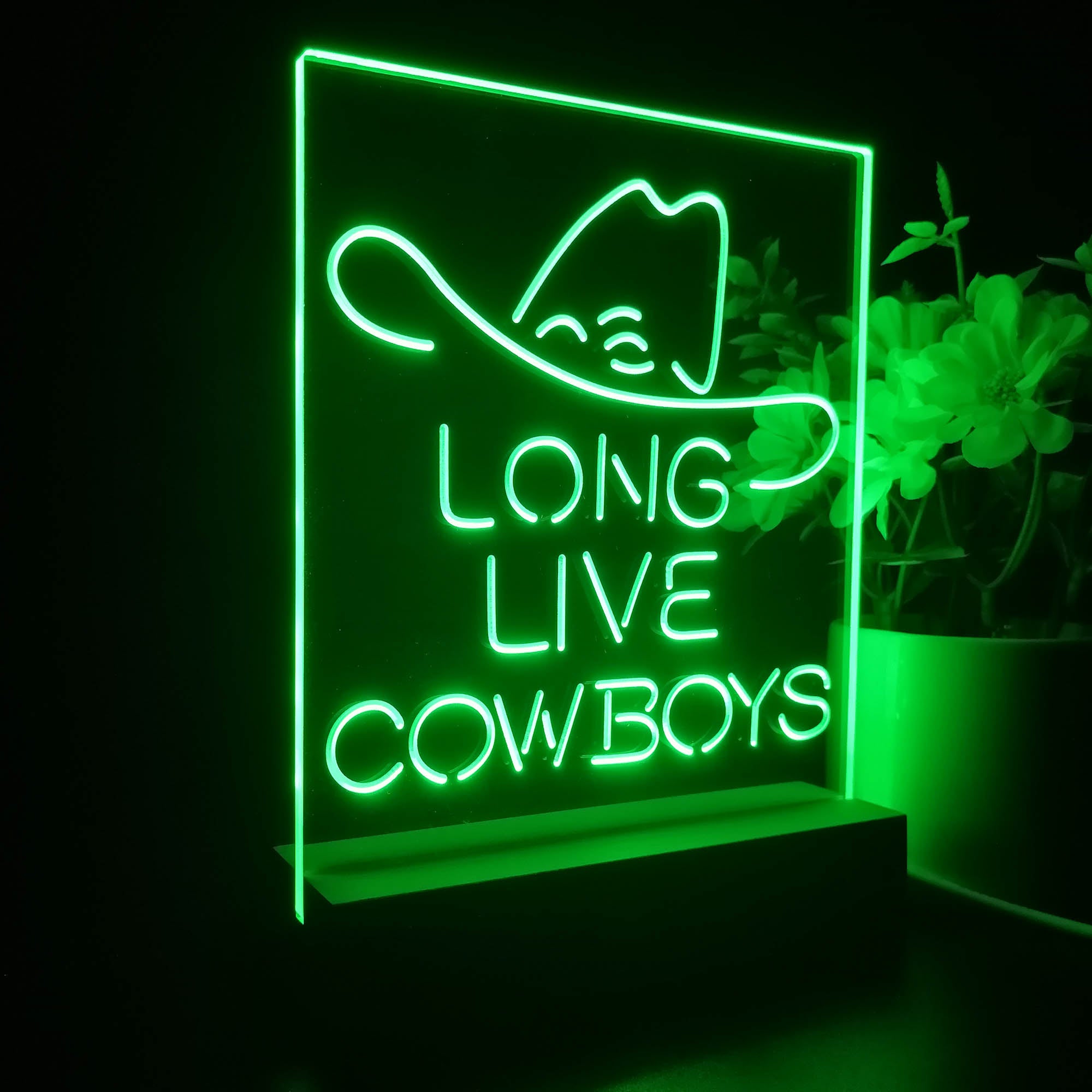 Long Live Cowboys Wranglers 3D LED Illusion Night Light