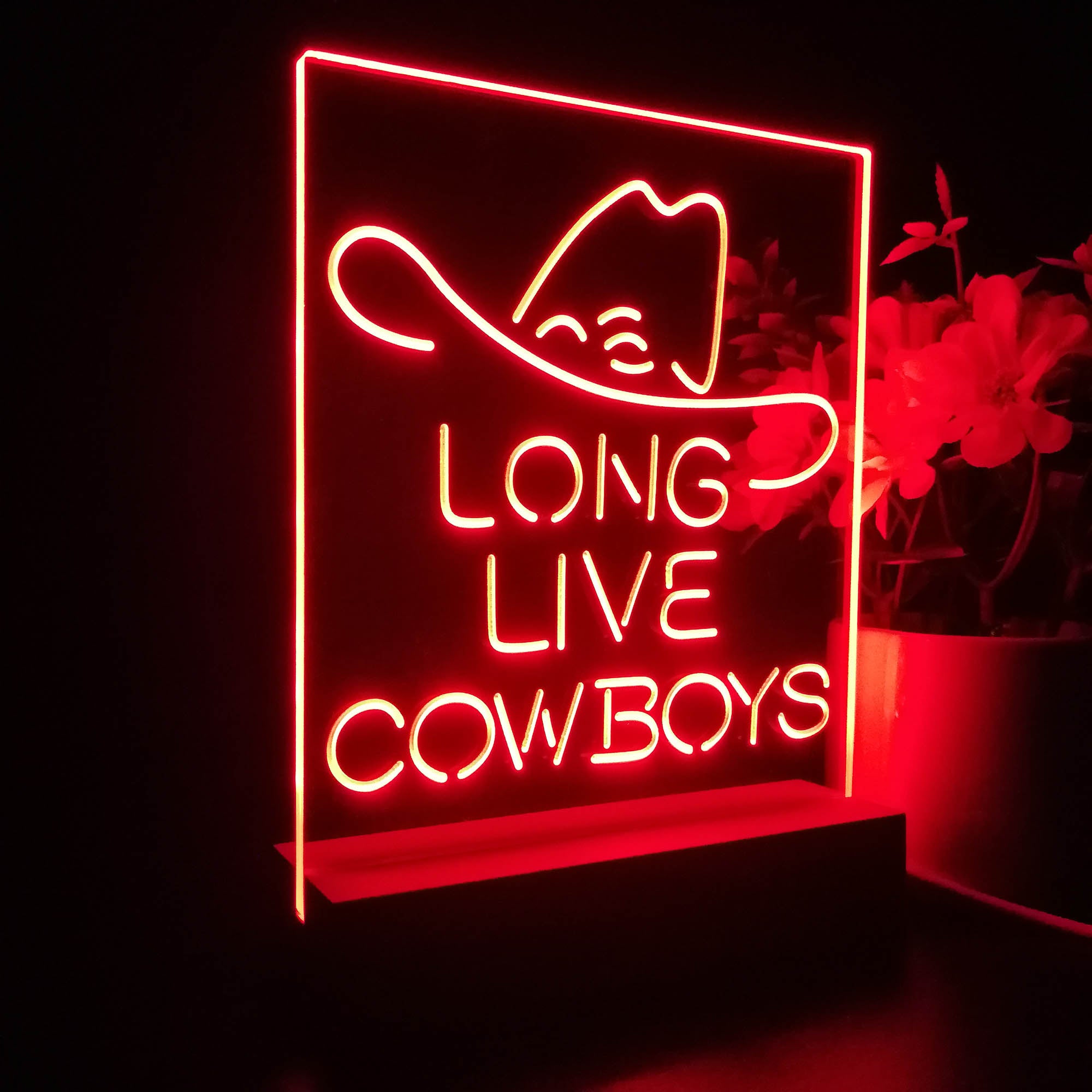 Long Live Cowboys Wranglers 3D LED Illusion Night Light