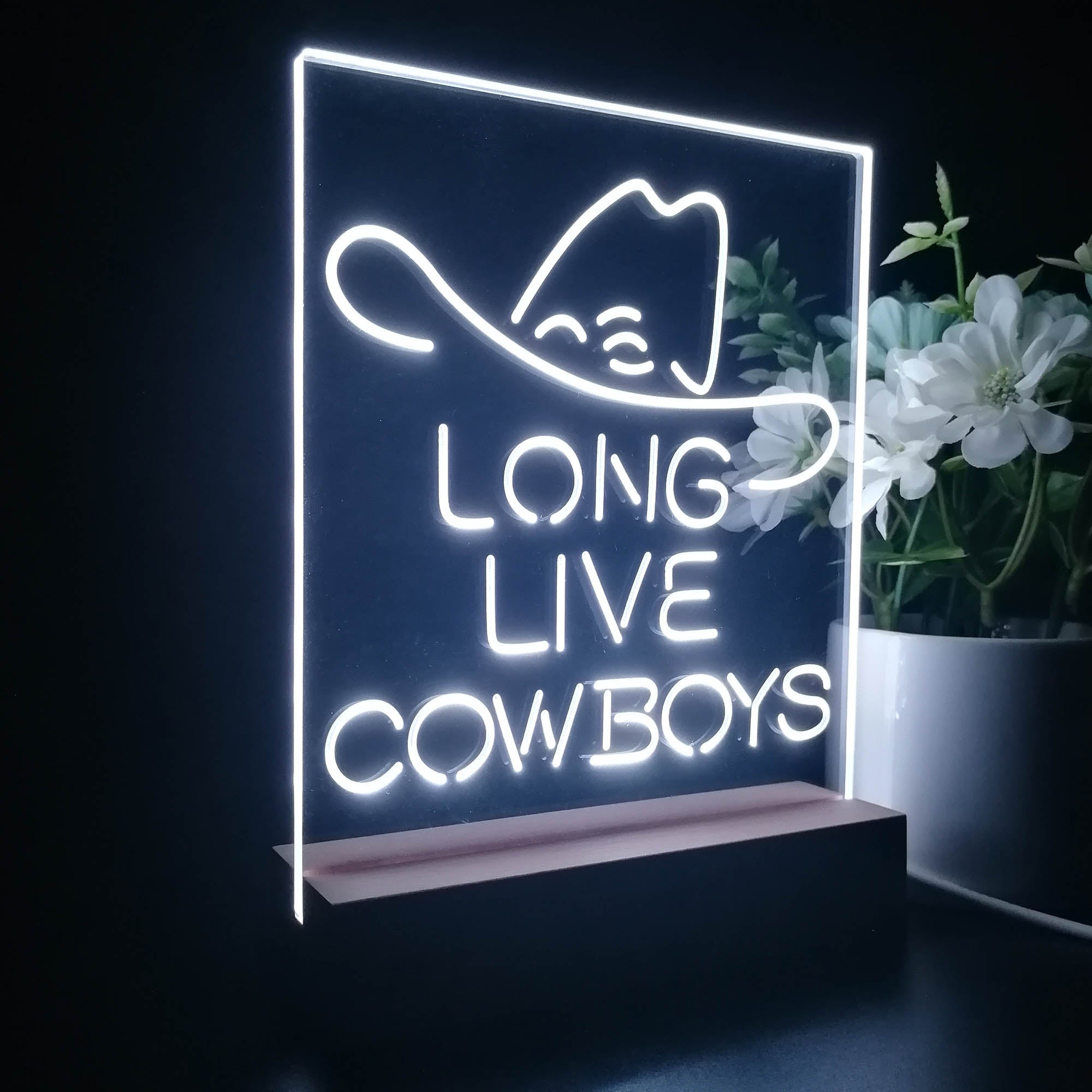 Long Live Cowboys Wranglers 3D LED Illusion Night Light