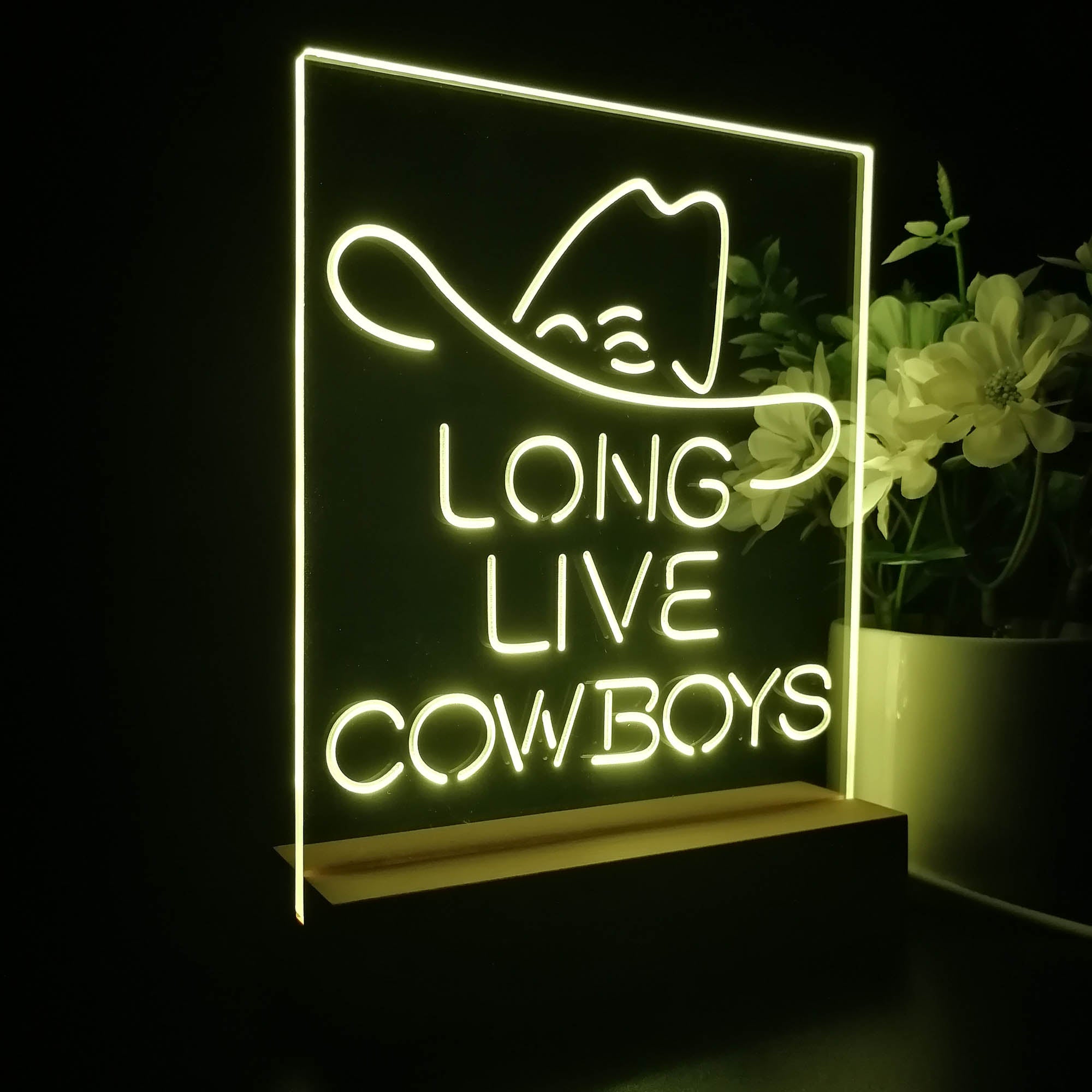 Long Live Cowboys Wranglers 3D LED Illusion Night Light