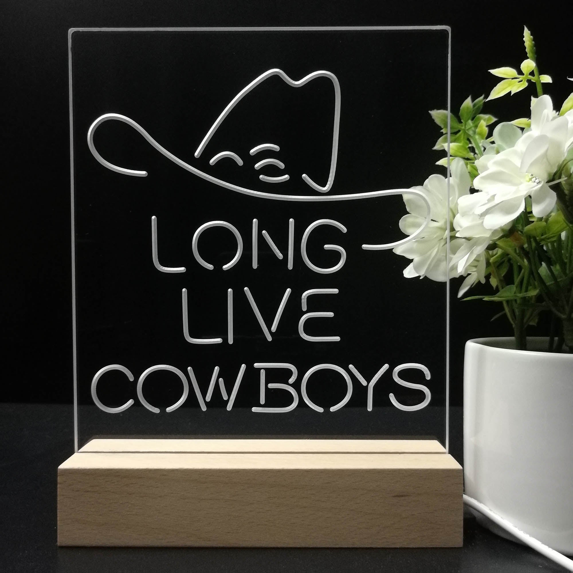 Long Live Cowboys Wranglers 3D LED Illusion Night Light