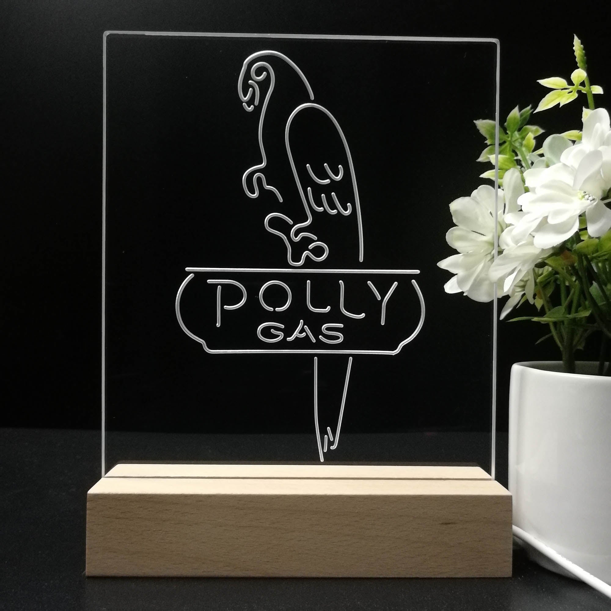 Polly Gas Parrot 3D LED Illusion Night Light