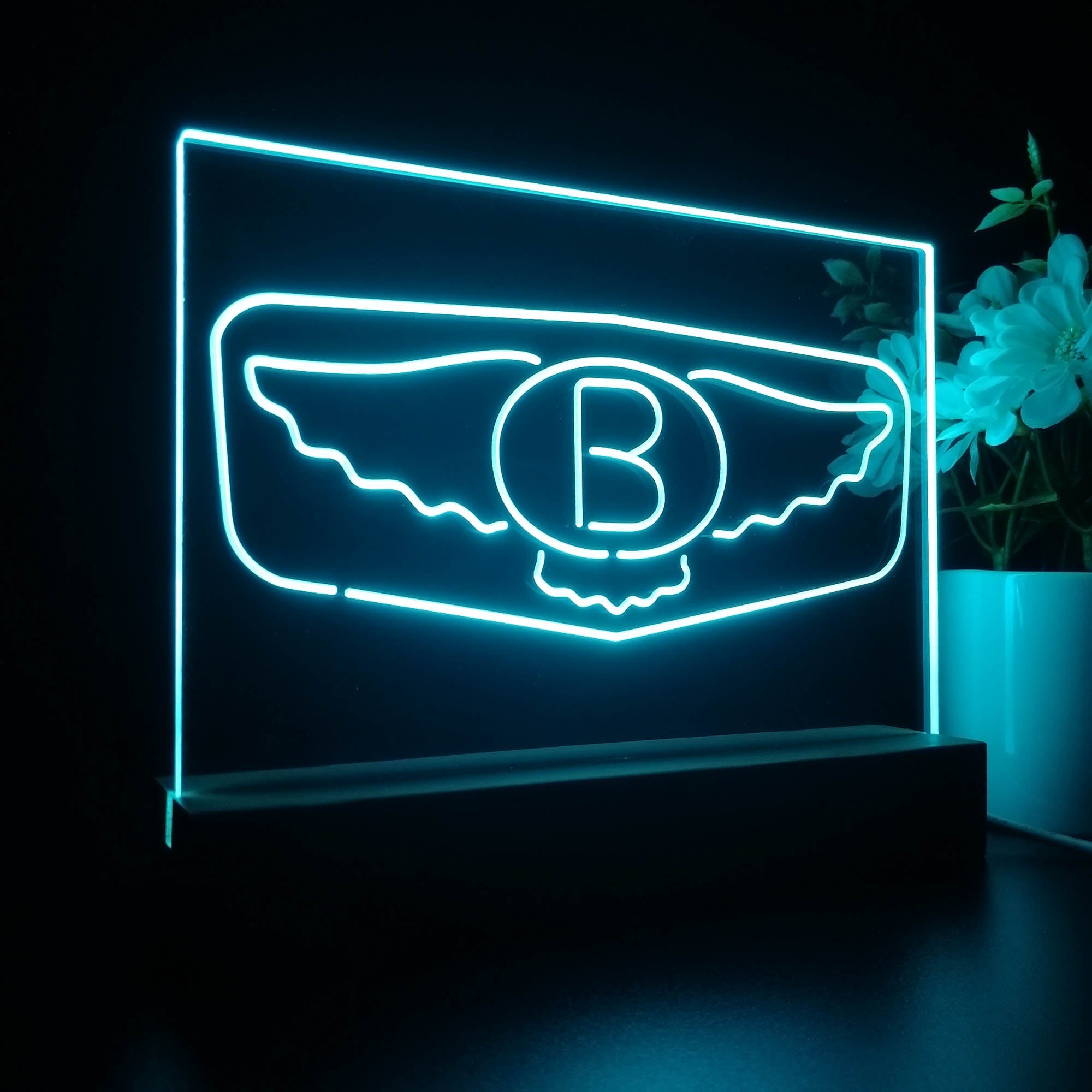 Bentley Wing 3D LED Illusion Night Light