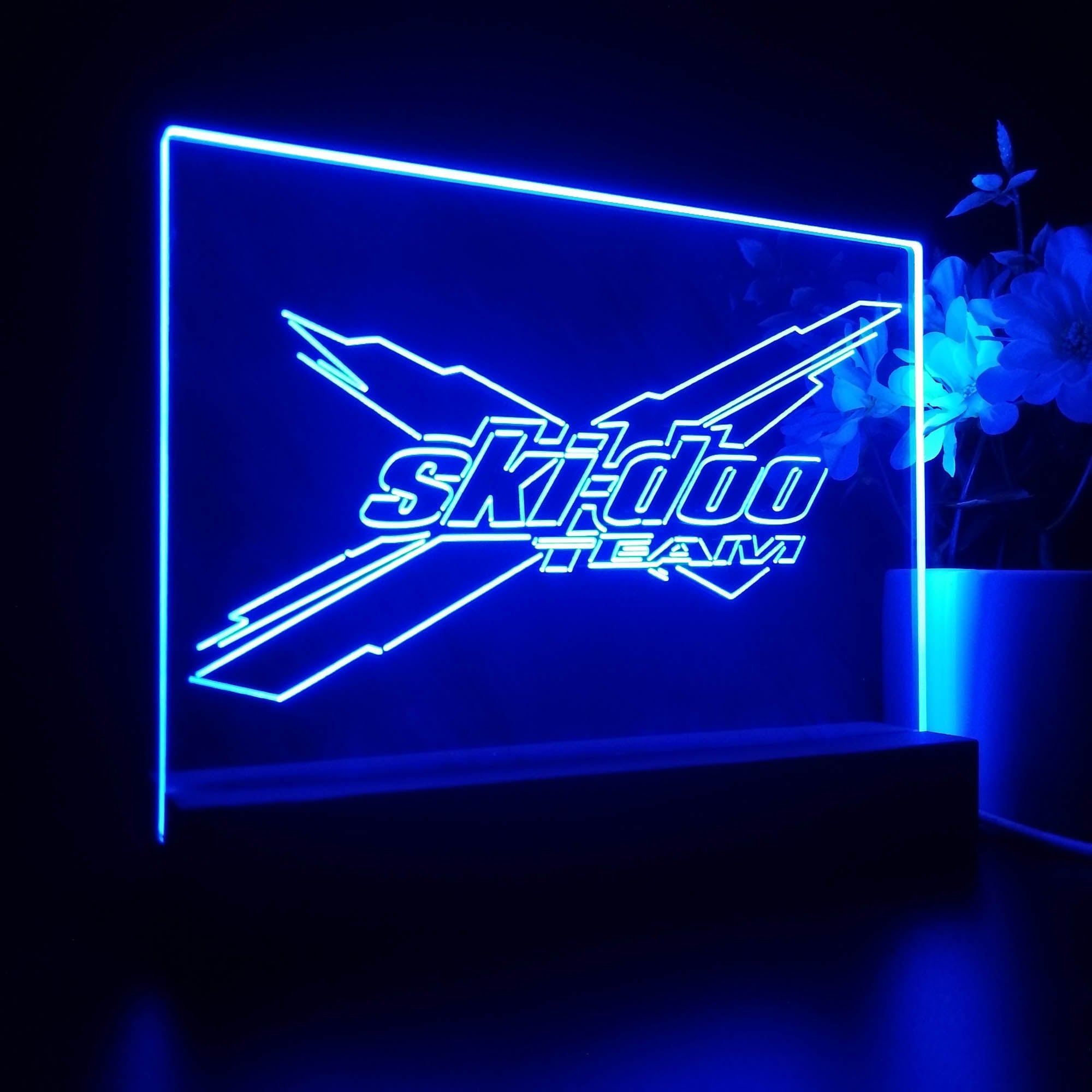 Ski-doo 3D LED Illusion Night Light