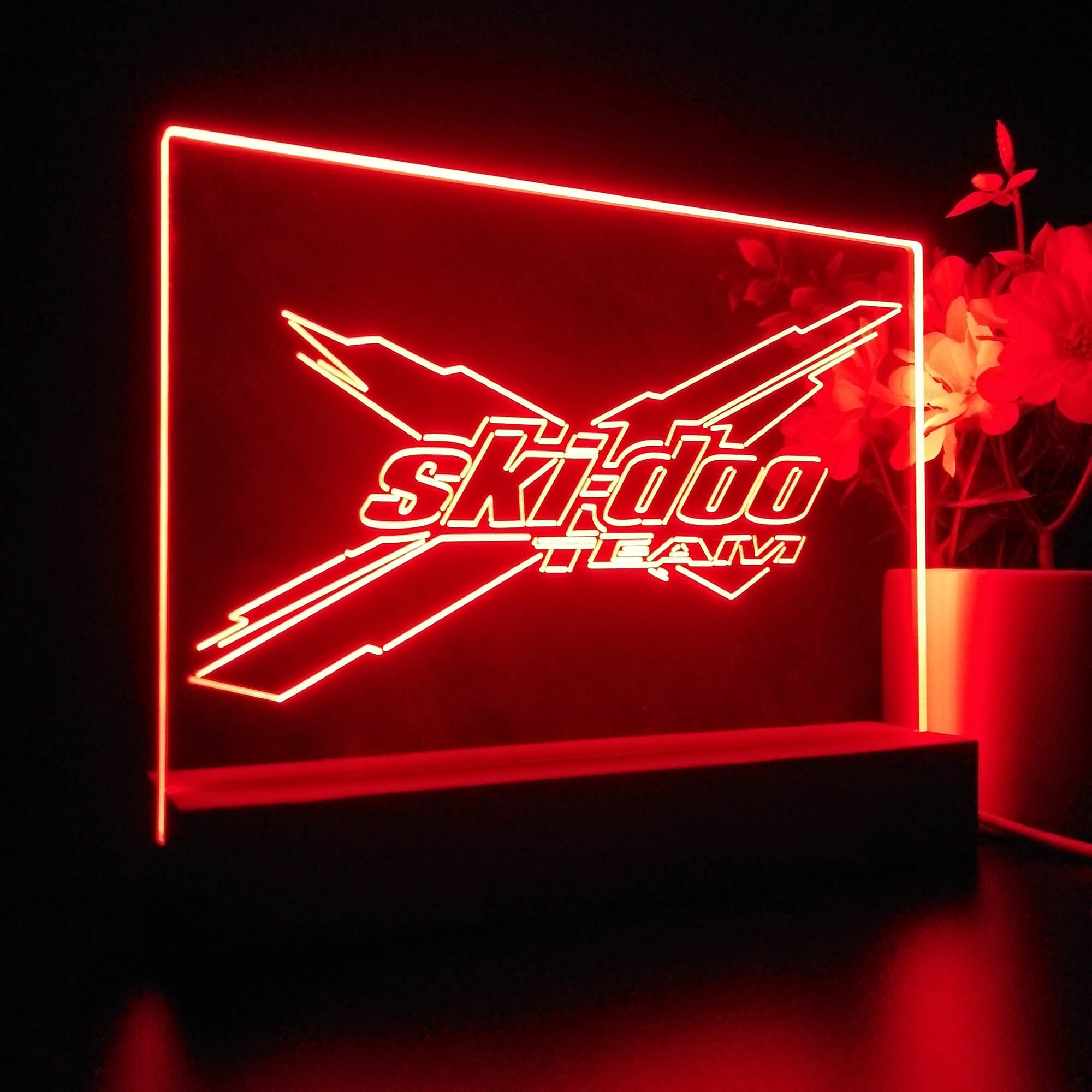 Ski-doo 3D LED Illusion Night Light