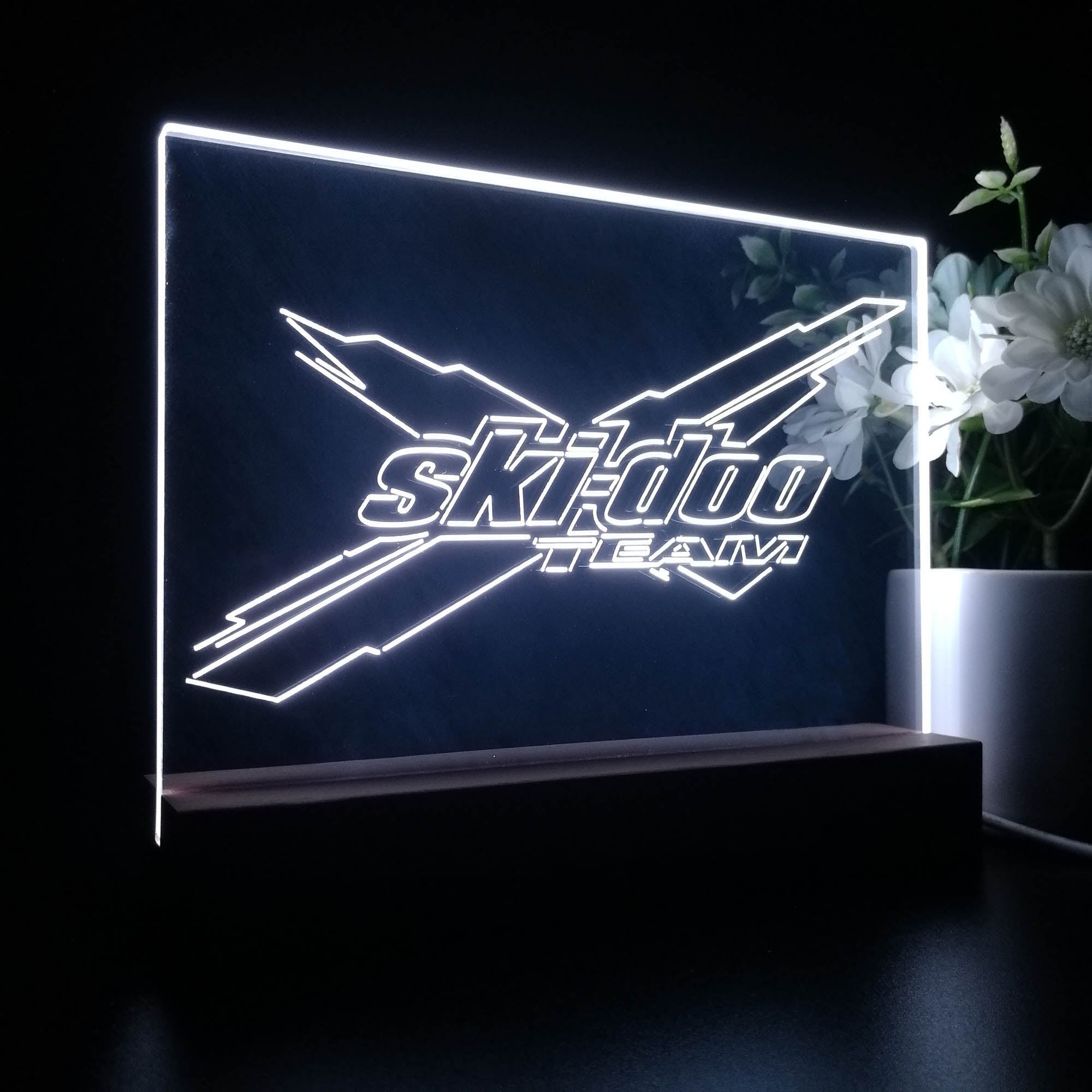 Ski-doo 3D LED Illusion Night Light