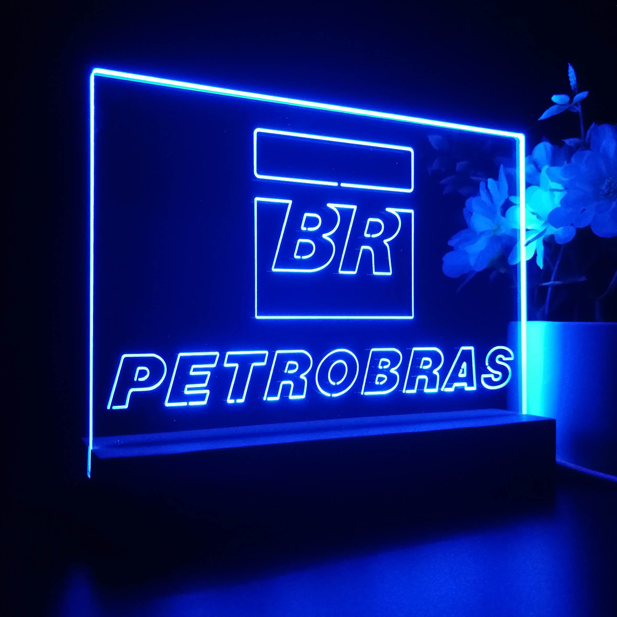 Petrobras 3D LED Illusion Night Light