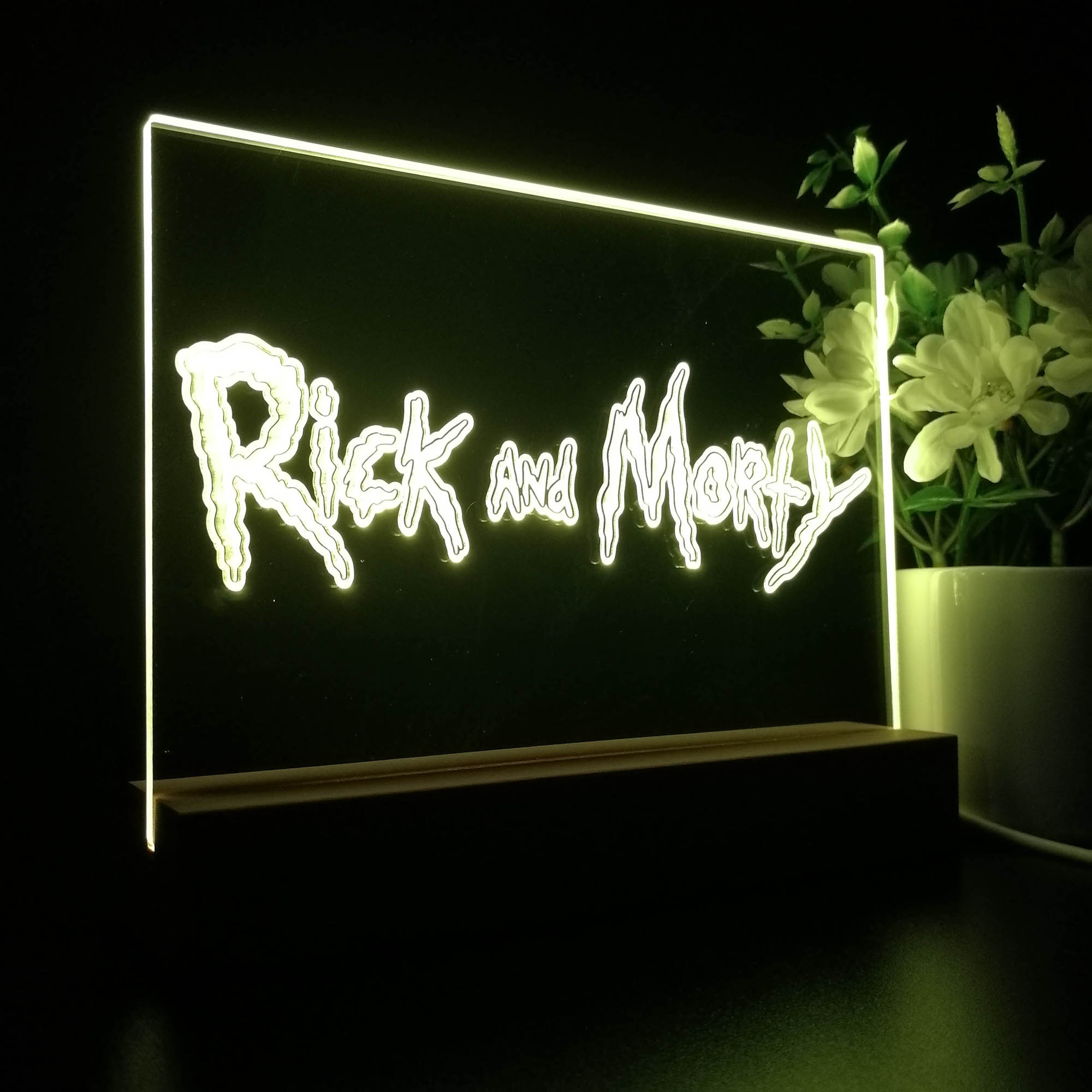 Rick And Morty 3D LED Optical Illusion Sleep Night Light