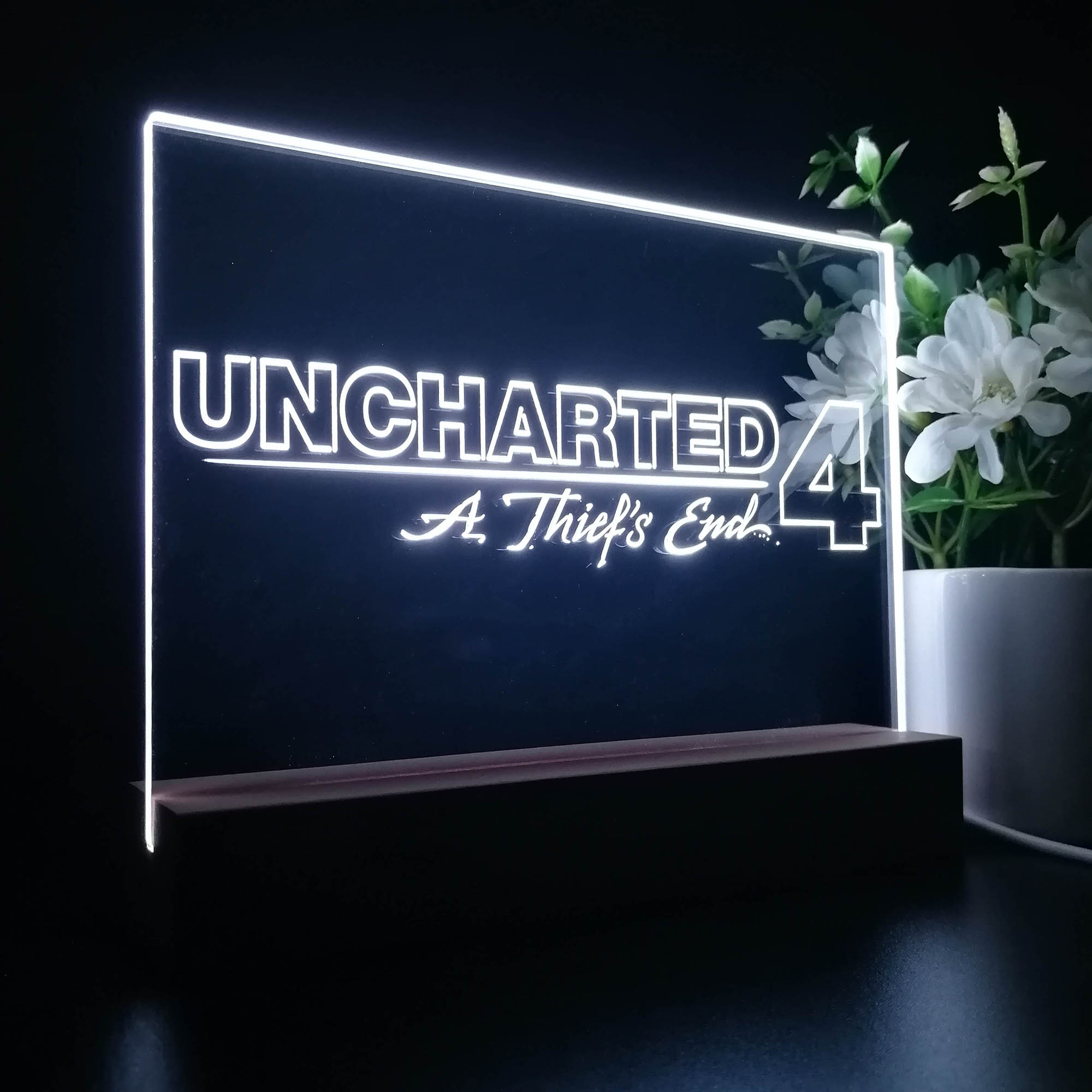 Uncharted A Thief's End 3D LED Optical Illusion Sleep Night Light