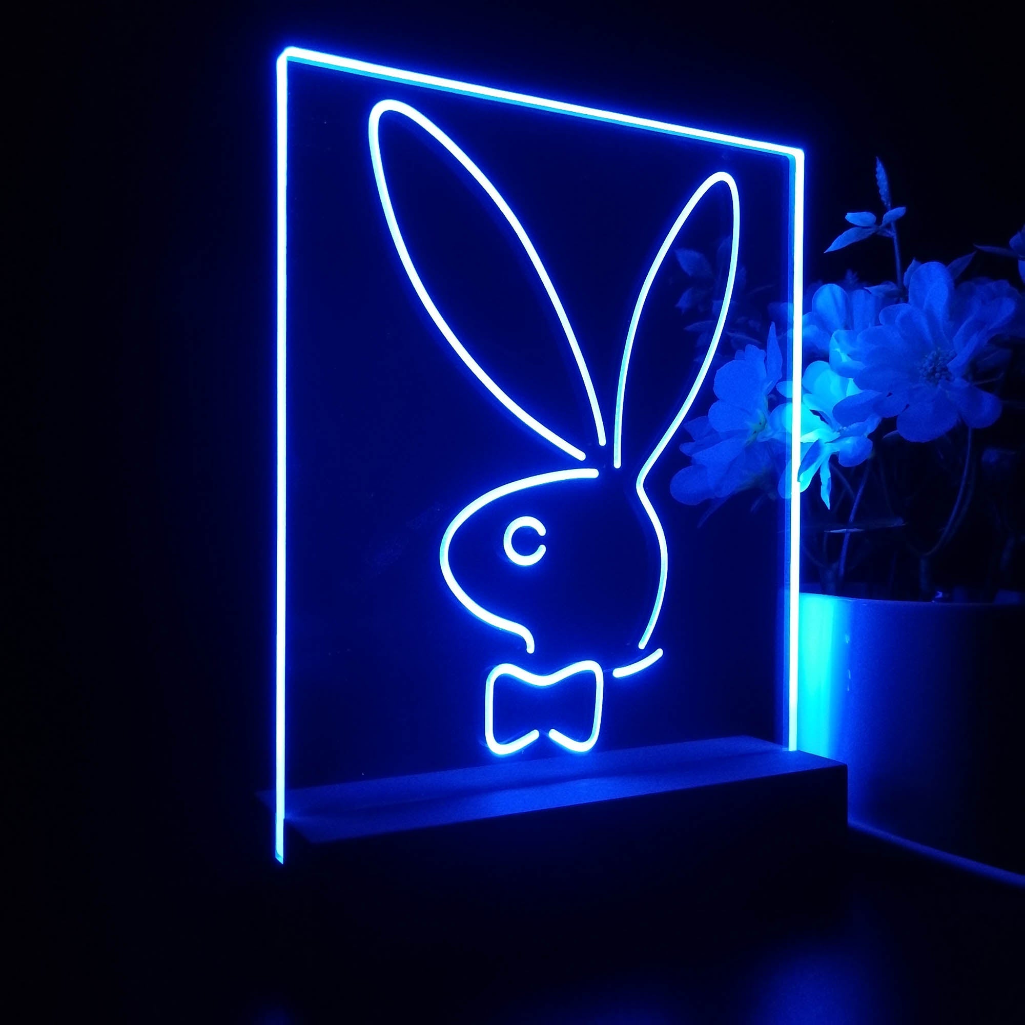 Bunnys Rabbits Kid Room D¨¦cor 3D LED Illusion Night Light