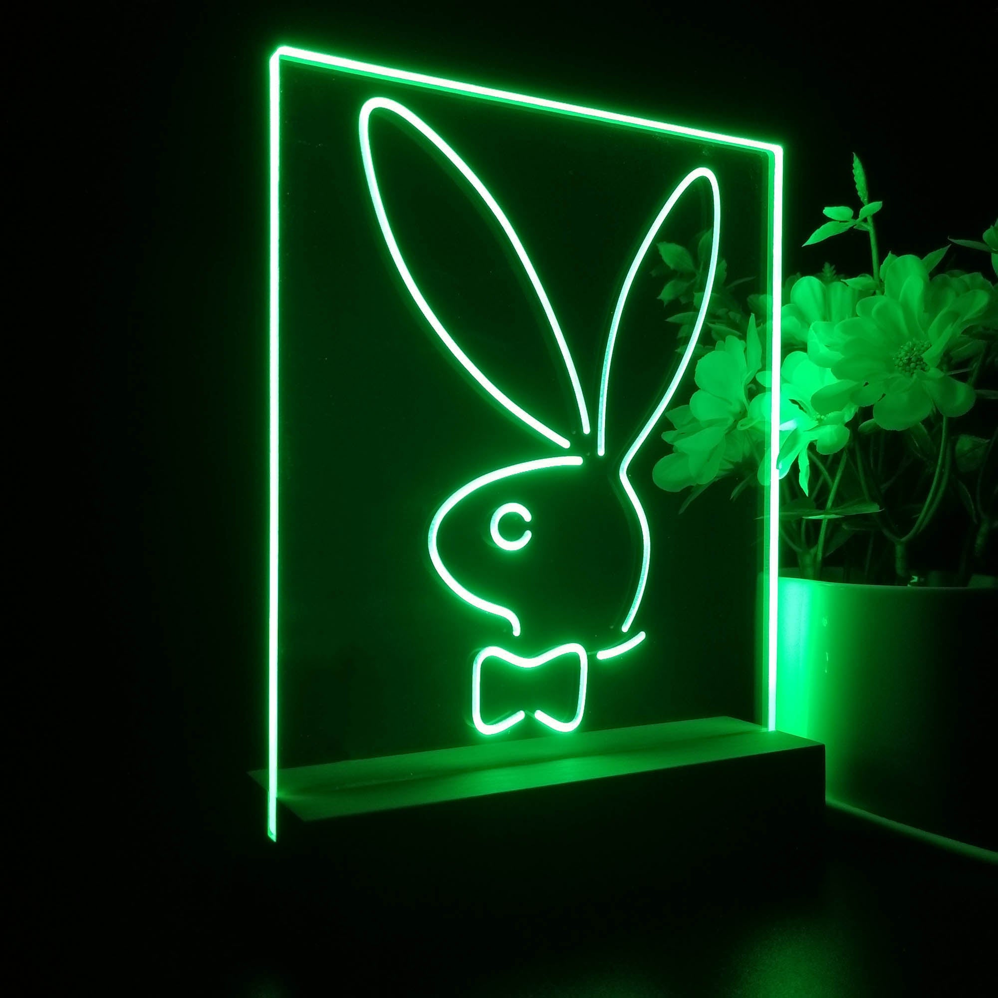 Bunnys Rabbits Kid Room D¨¦cor 3D LED Illusion Night Light