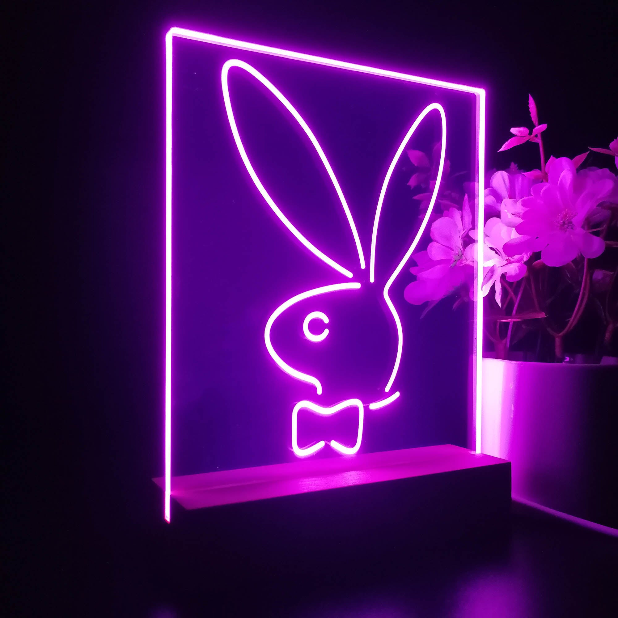 Bunnys Rabbits Kid Room D¨¦cor 3D LED Illusion Night Light