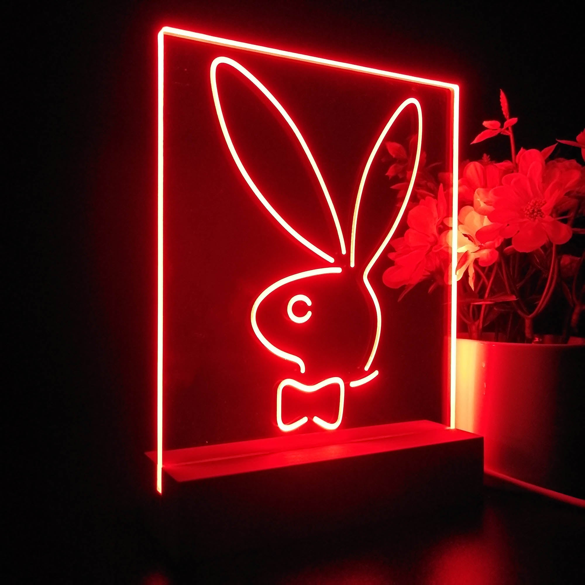 Bunnys Rabbits Kid Room D¨¦cor 3D LED Illusion Night Light