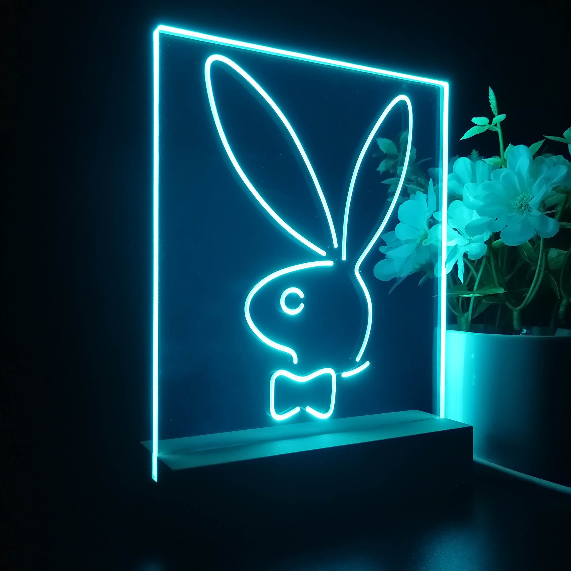 Bunnys Rabbits Kid Room D¨¦cor 3D LED Illusion Night Light