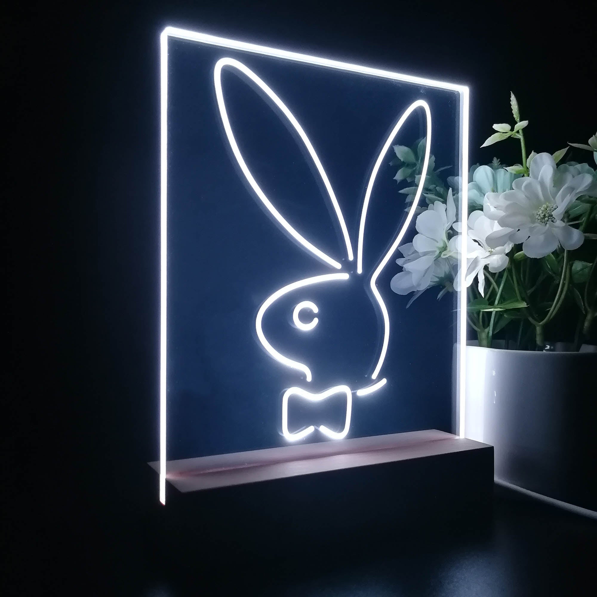 Bunnys Rabbits Kid Room D¨¦cor 3D LED Illusion Night Light