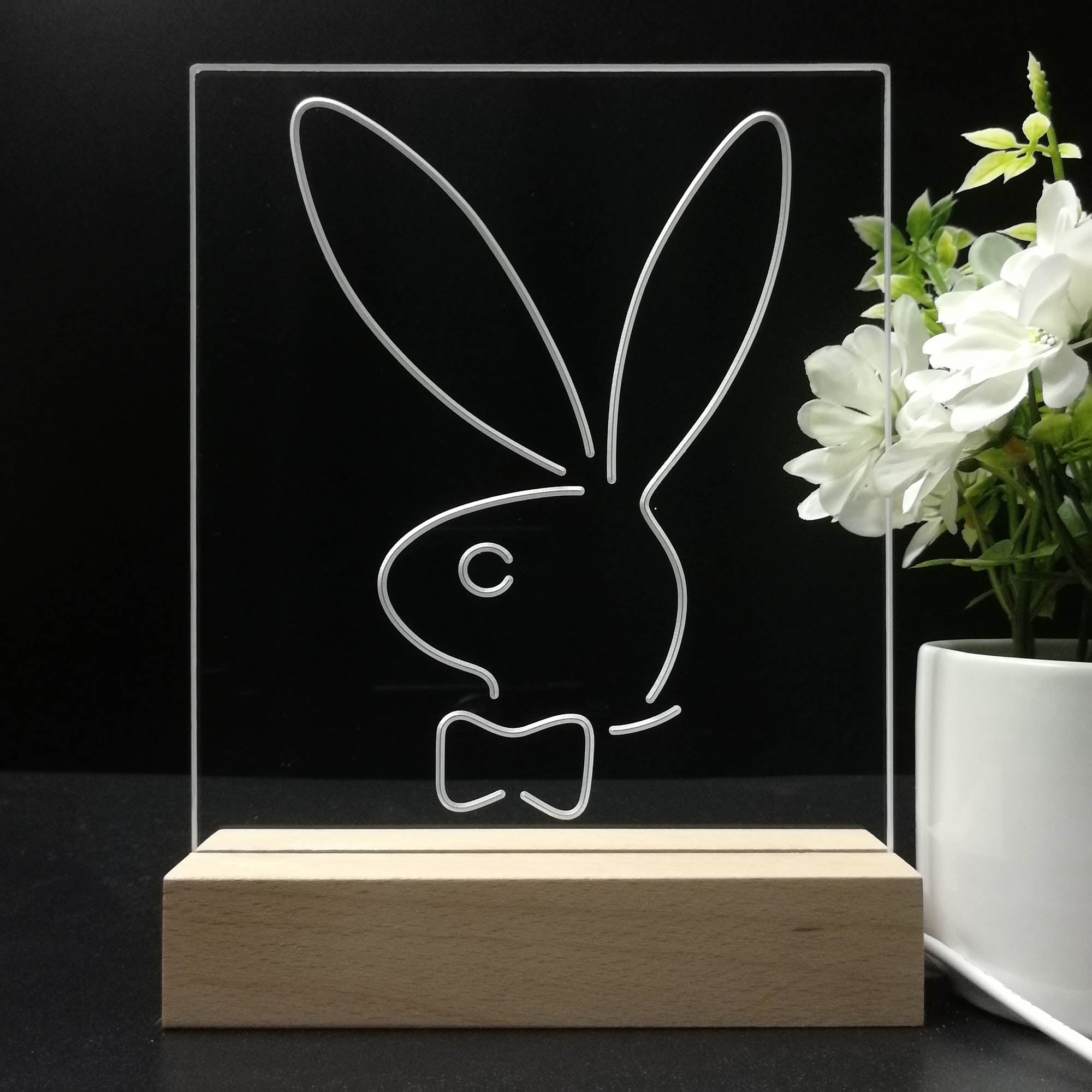 Bunnys Rabbits Kid Room D¨¦cor 3D LED Illusion Night Light