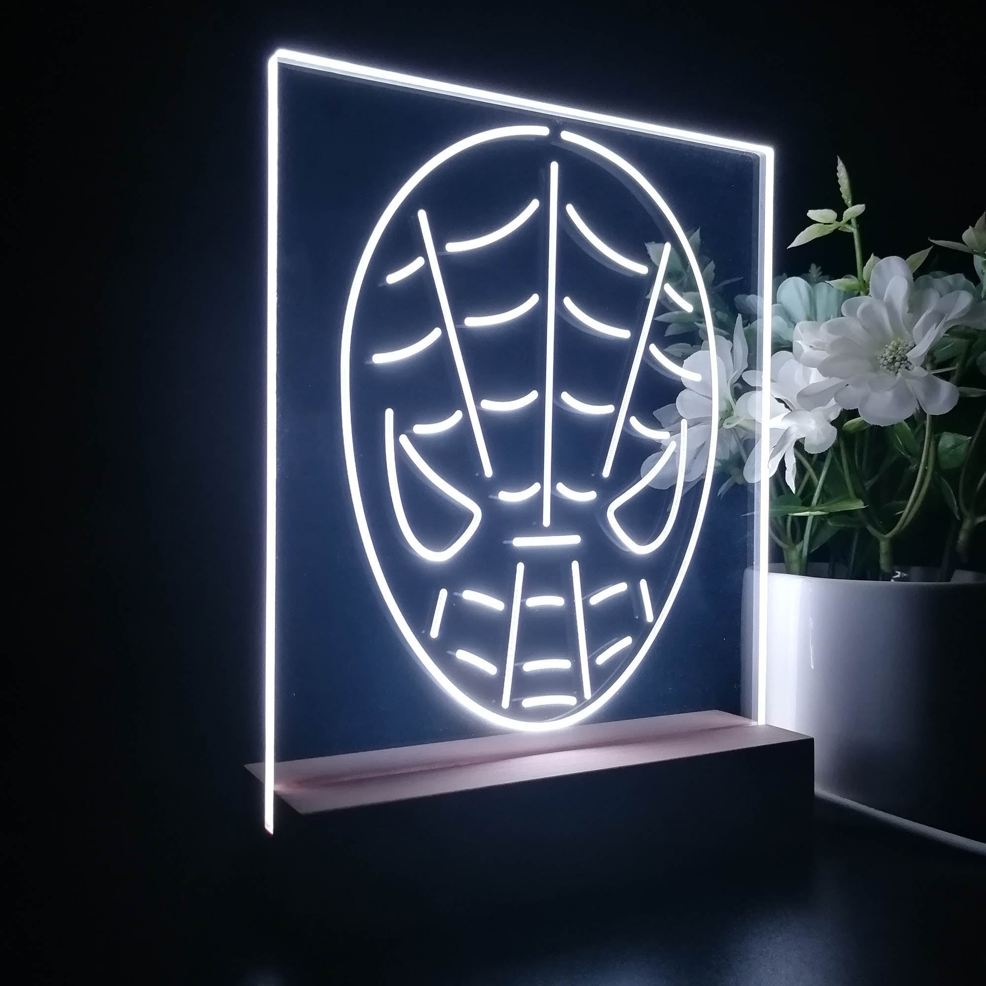 Spiderman Game Room Display 3D LED Illusion Night Light