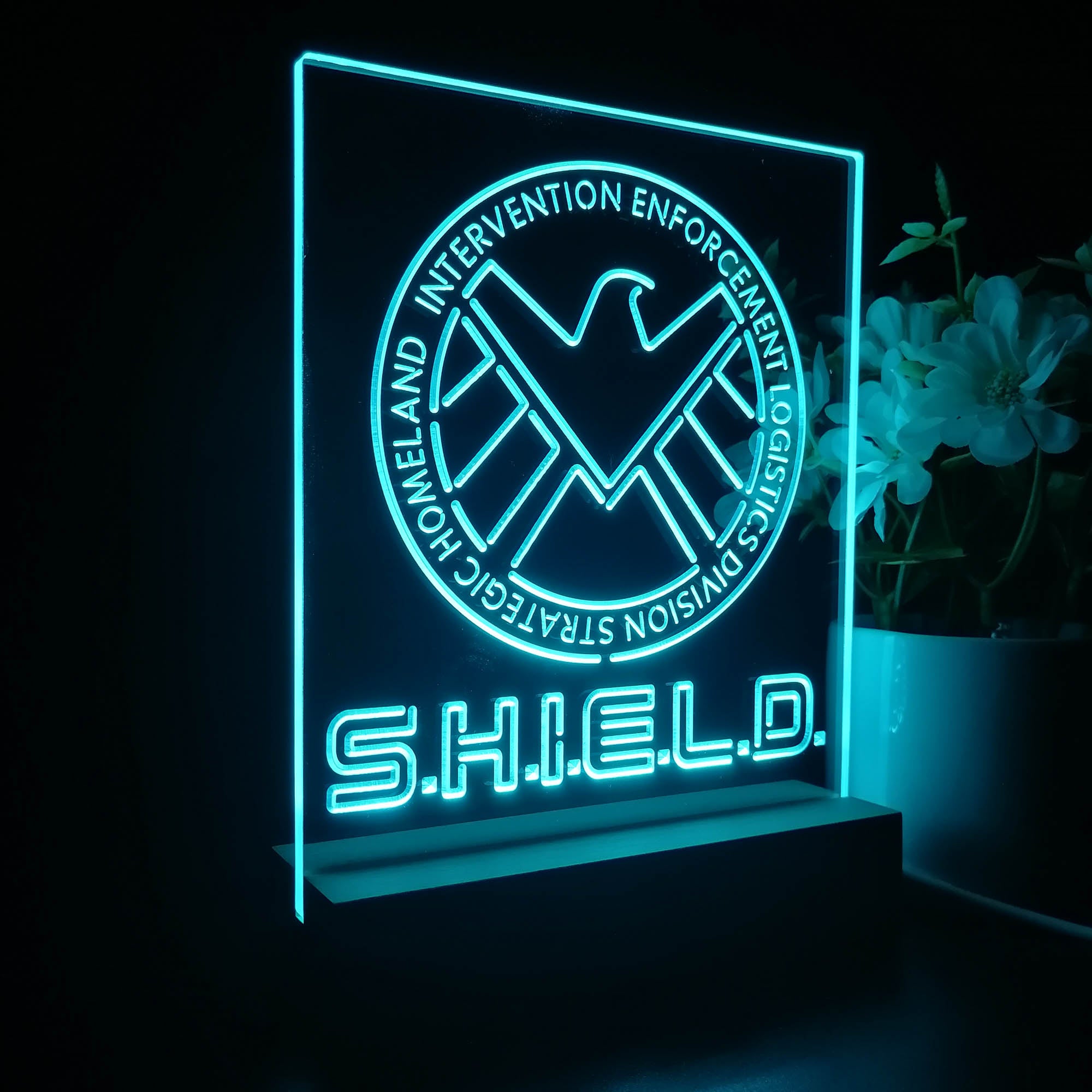 Agents of S.H.I.E.L.D. 3D LED Illusion Night Light