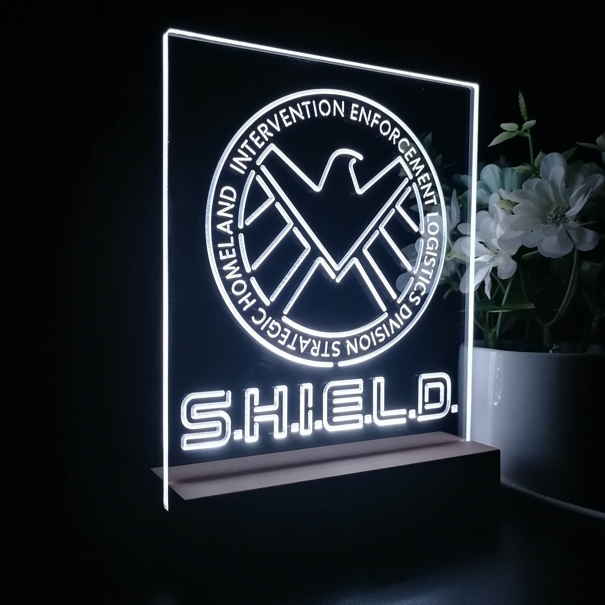 Agents of S.H.I.E.L.D. 3D LED Illusion Night Light