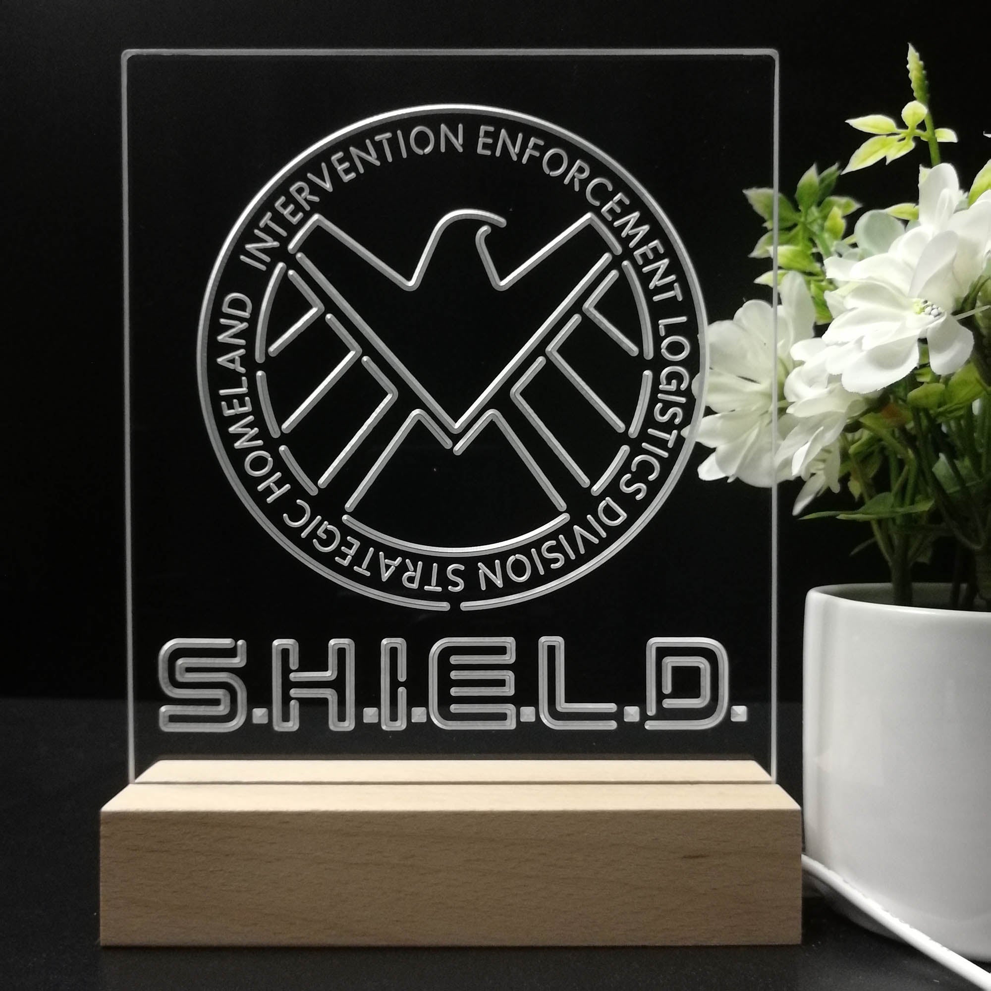 Agents of S.H.I.E.L.D. 3D LED Illusion Night Light