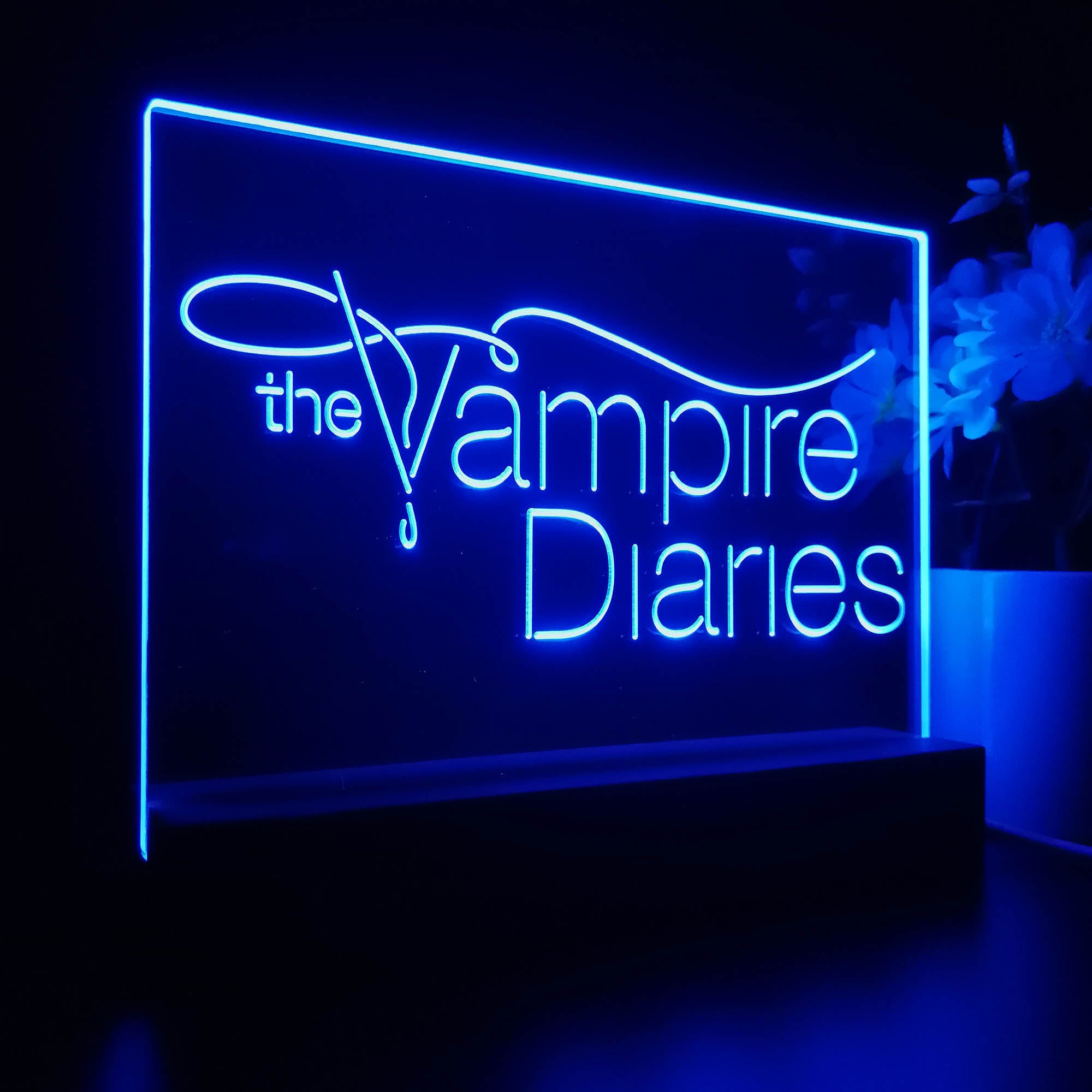 The Vampires Diaries 3D LED Illusion Night Light