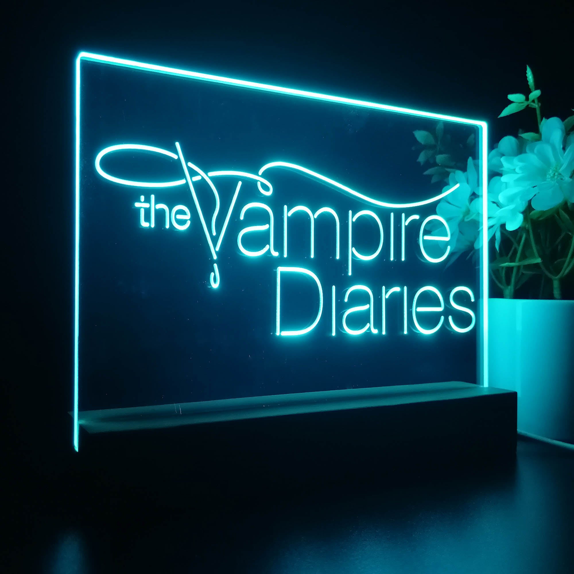 The Vampires Diaries 3D LED Illusion Night Light