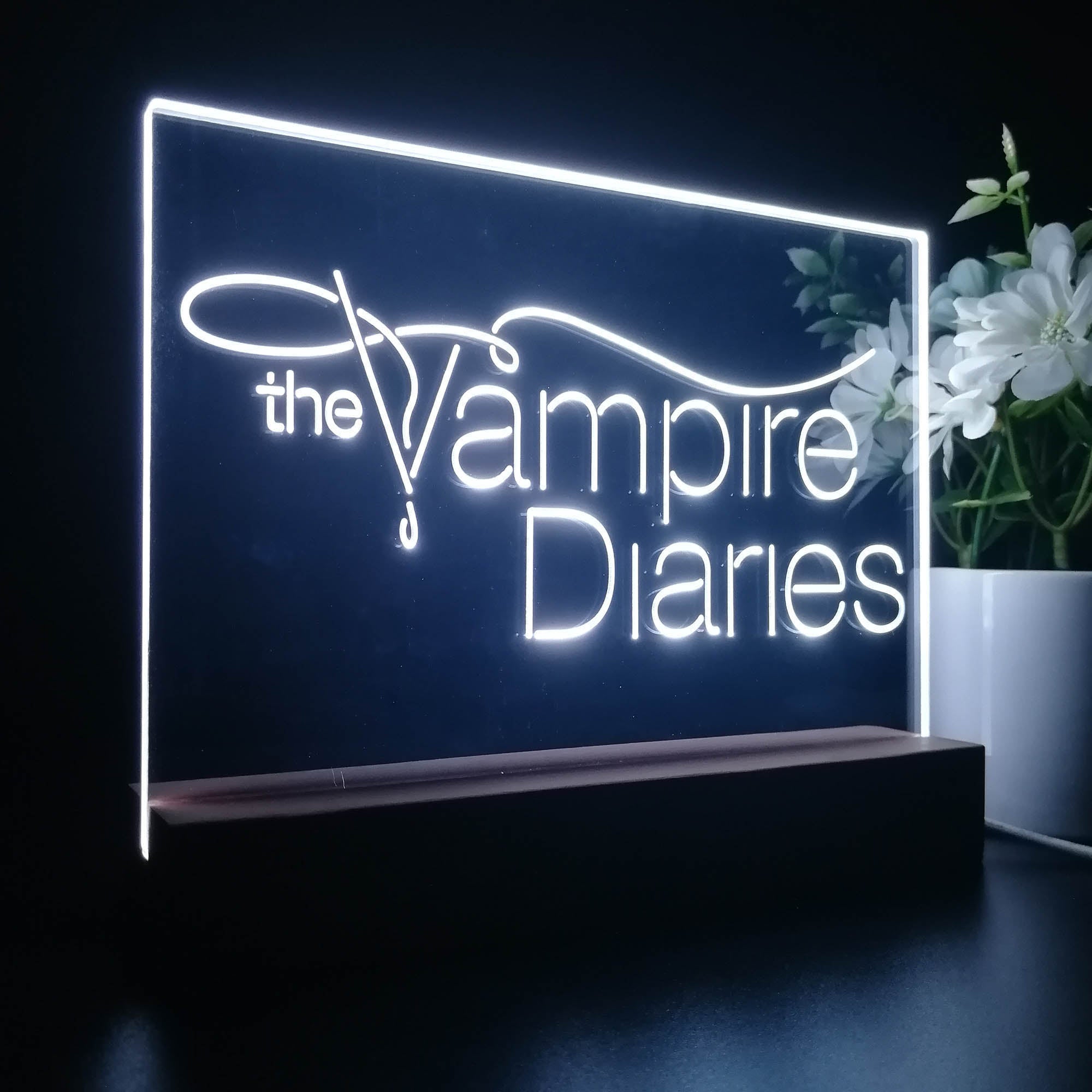 The Vampires Diaries 3D LED Illusion Night Light