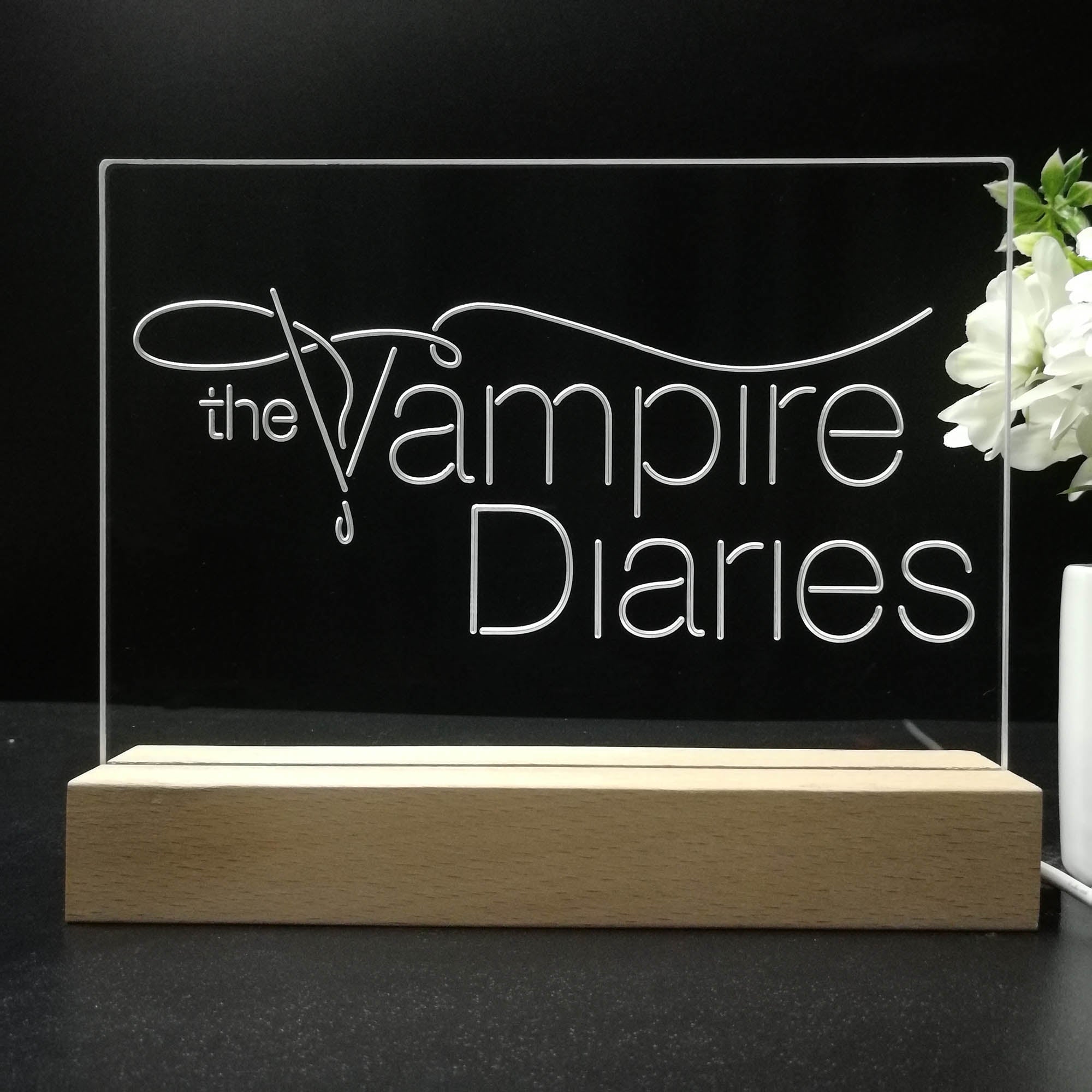 The Vampires Diaries 3D LED Illusion Night Light