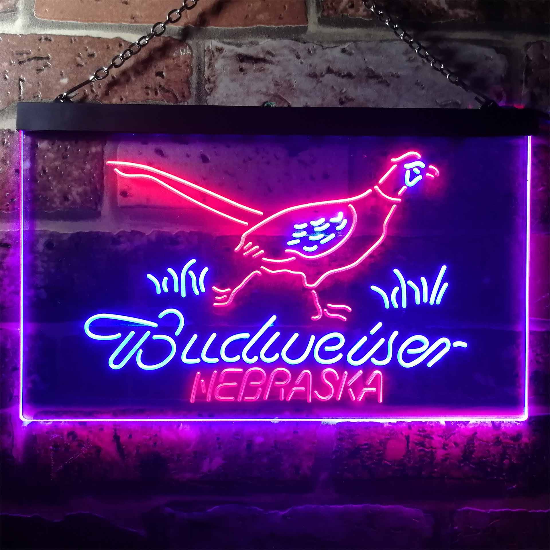 Nebraska Pheasant Hunter Budweiser's Neon LED Sign