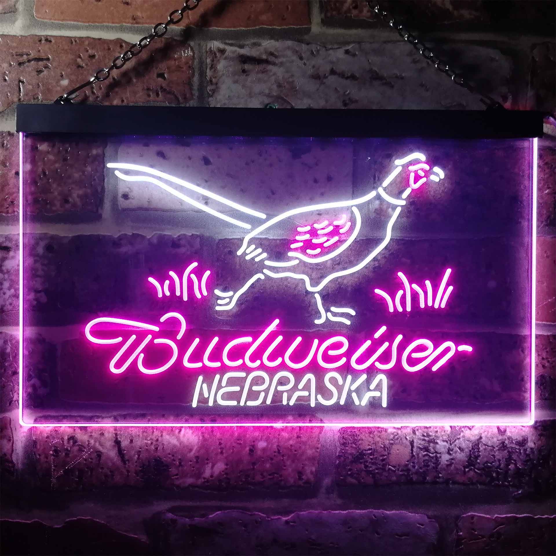 Nebraska Pheasant Hunter Budweiser's Neon LED Sign